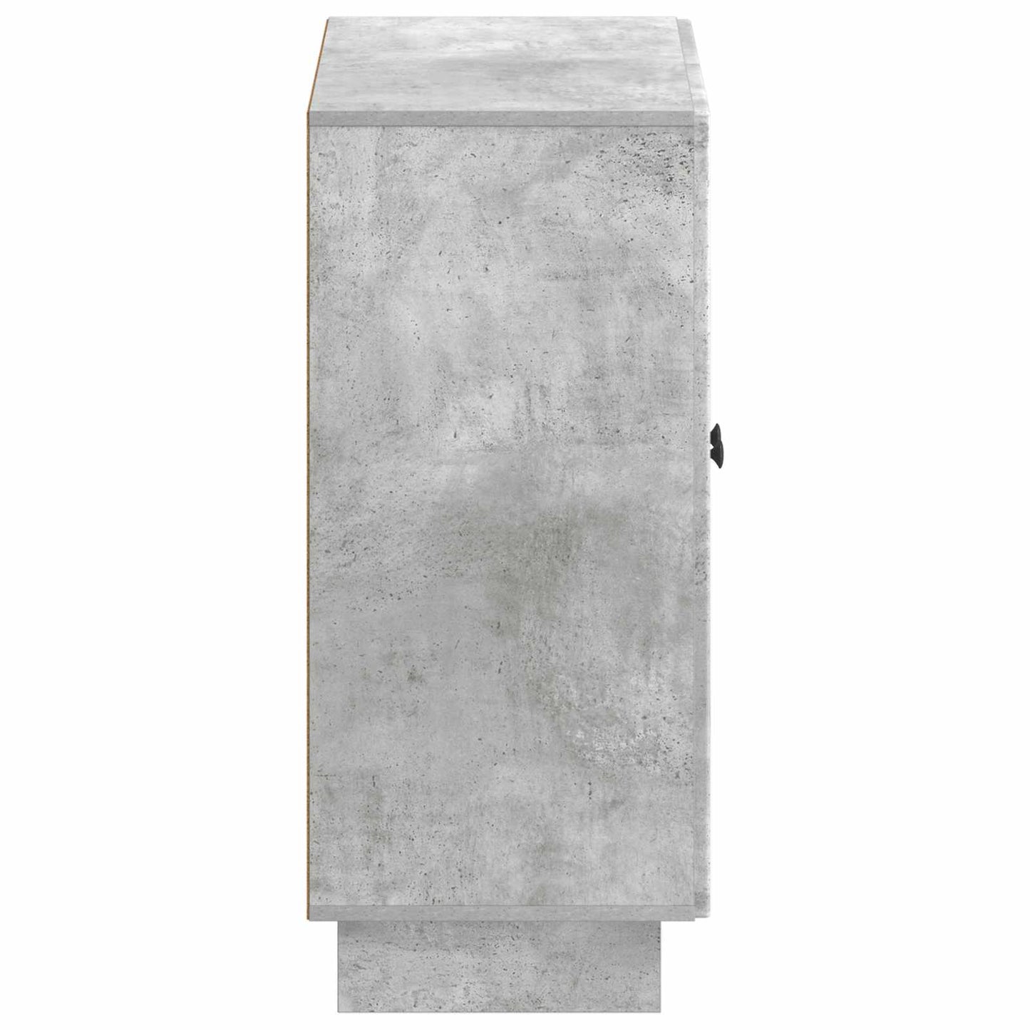 Schoenenkast EDE 59,5 x 39,5 x 90 cm Bewerkt hout Betongrijs