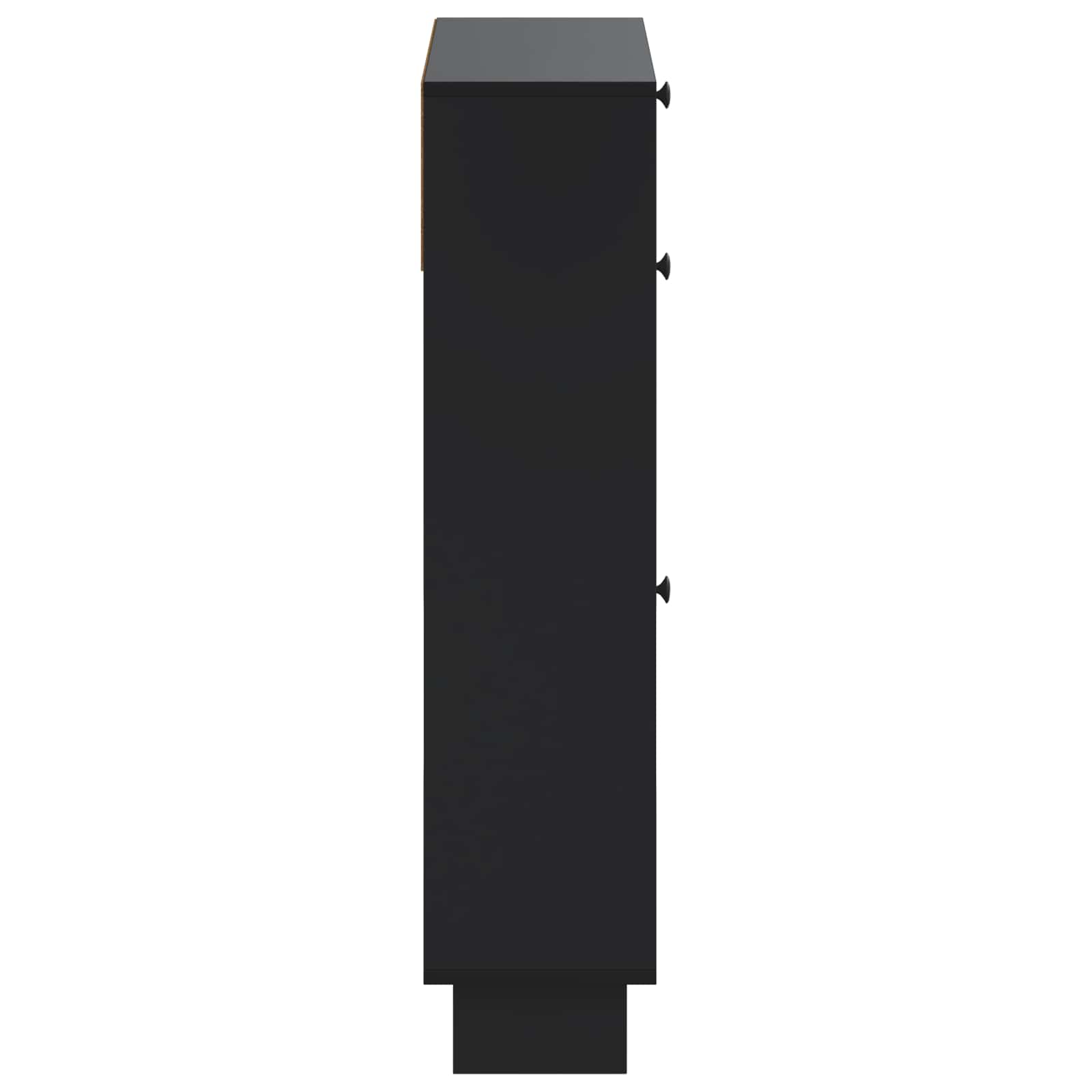 Schoenenkast EDE 78 x 24 x 103 cm Bewerkt hout Zwart
