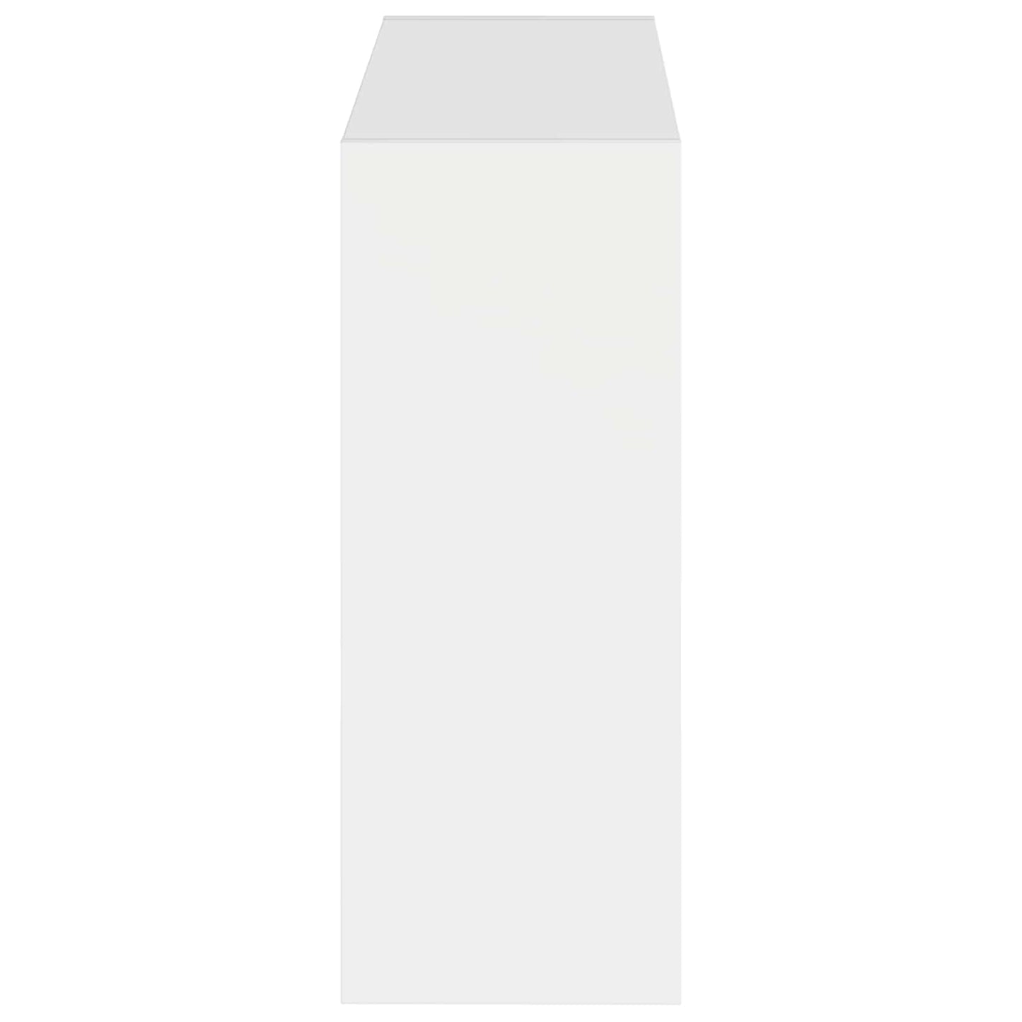 Wandgemonteerde Schoenkast ZWOLLE 71 x 17 x 43 cm Bewerkt hout