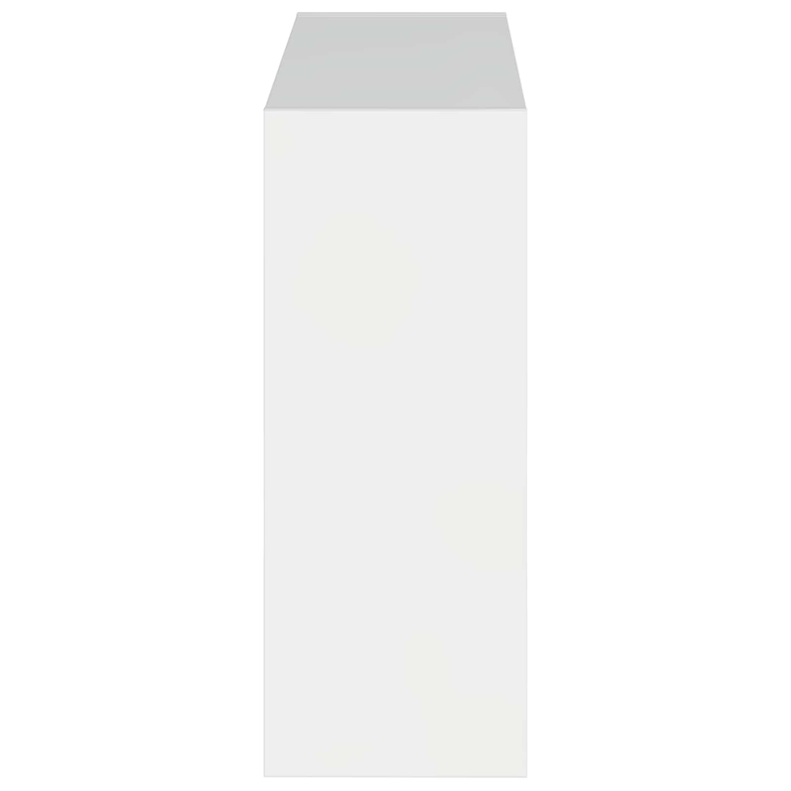 Wandgemonteerde Schoenkast ZWOLLE 71 x 17 x 43 cm Bewerkt hout