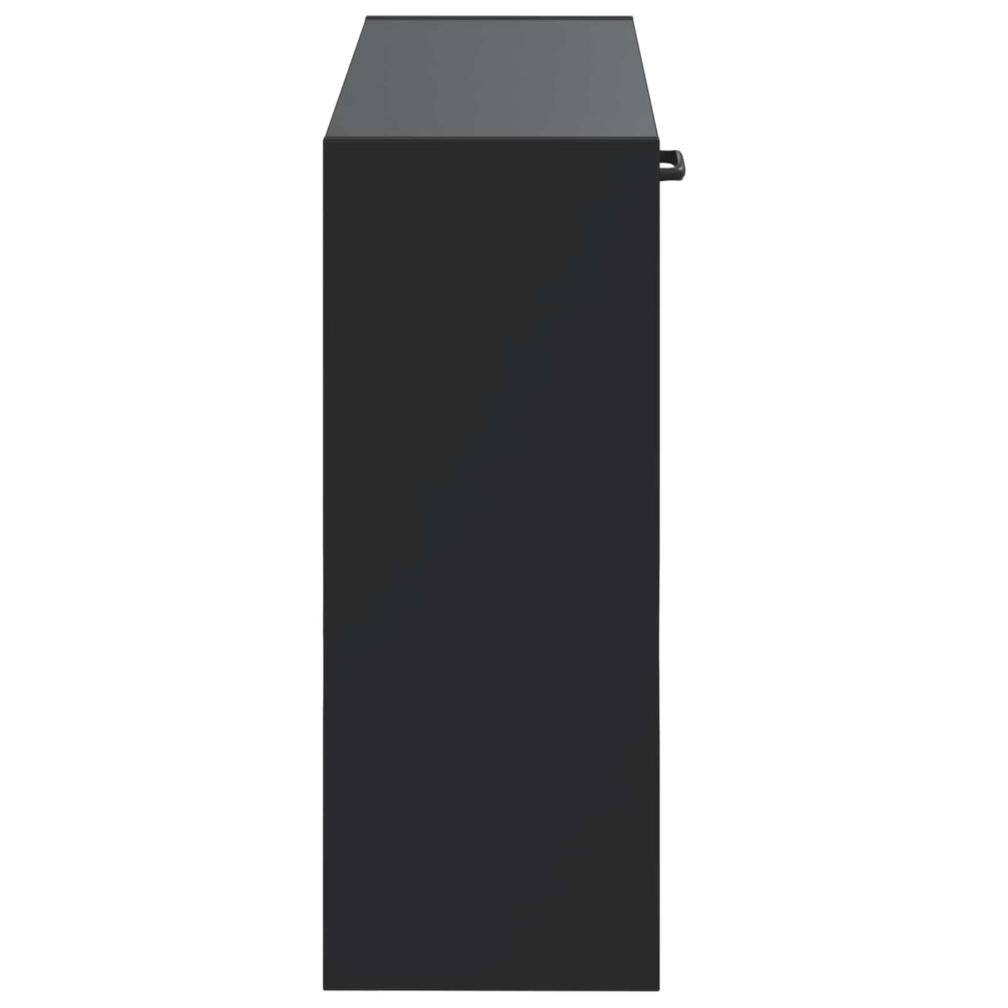 Wandgemonteerde Schoenkast HAARLEM 71 x 17 x 43 cm Bewerkt hout