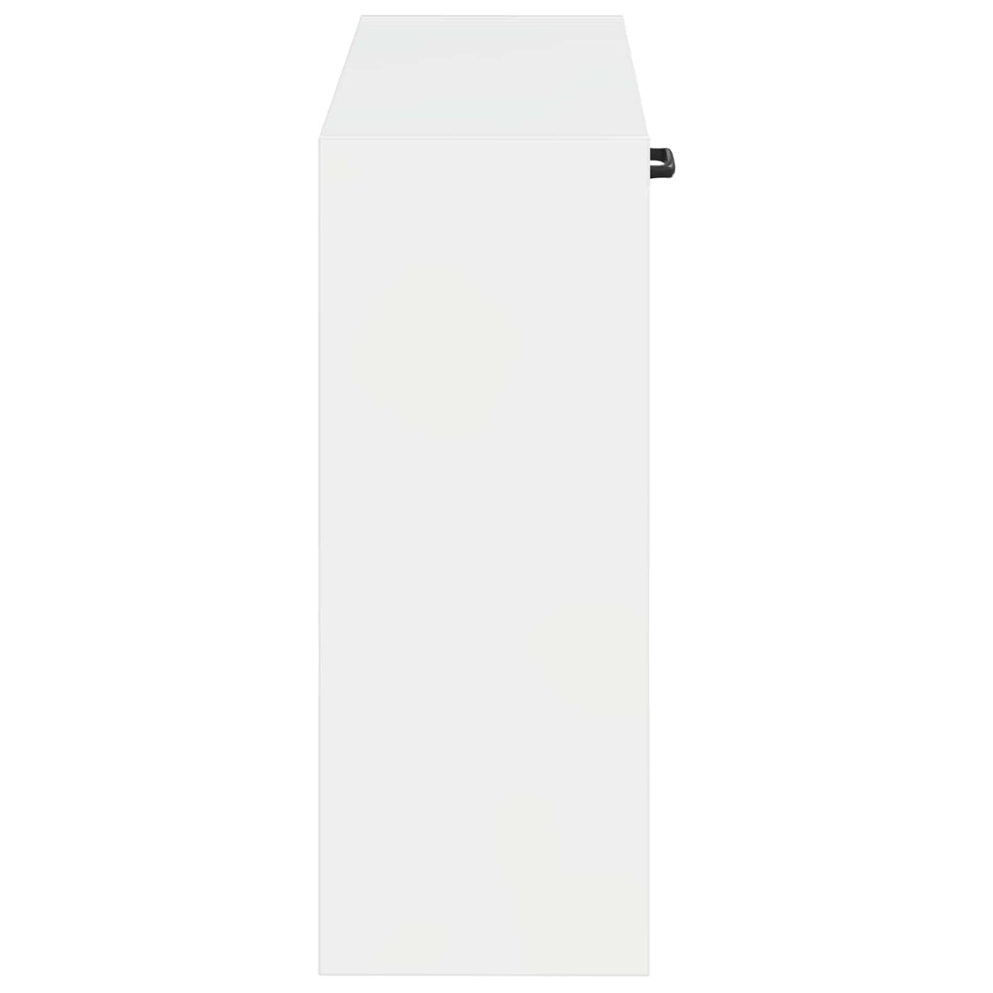 Wandgemonteerde Schoenkast HOORN 71 x 17 x 43 cm Bewerkt hout
