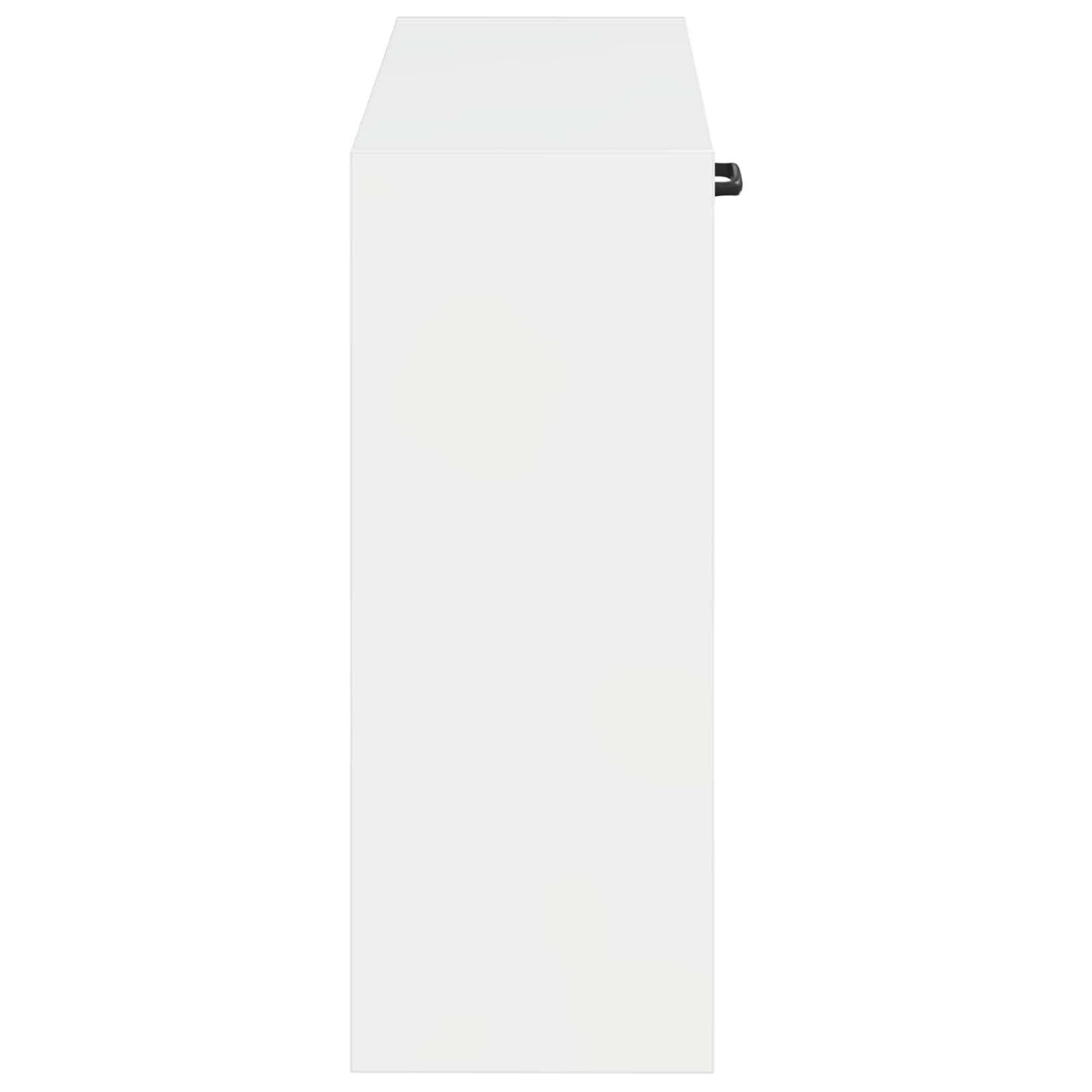 Wandgemonteerde Schoenkast HOORN 71 x 17 x 43 cm Bewerkt hout