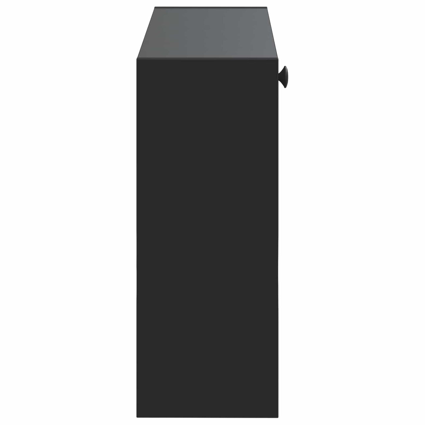 Wandgemonteerde Schoenkast BREDA 71 x 17 x 43 cm Bewerkt hout
