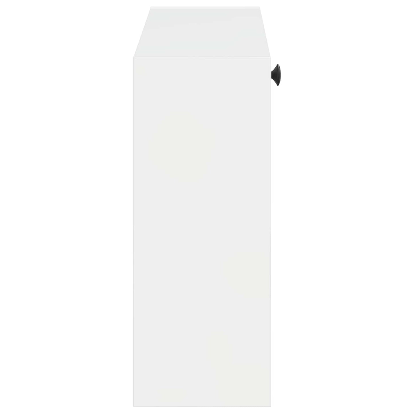 Wandgemonteerde Schoenkast BREDA 71 x 17 x 43 cm Bewerkt hout