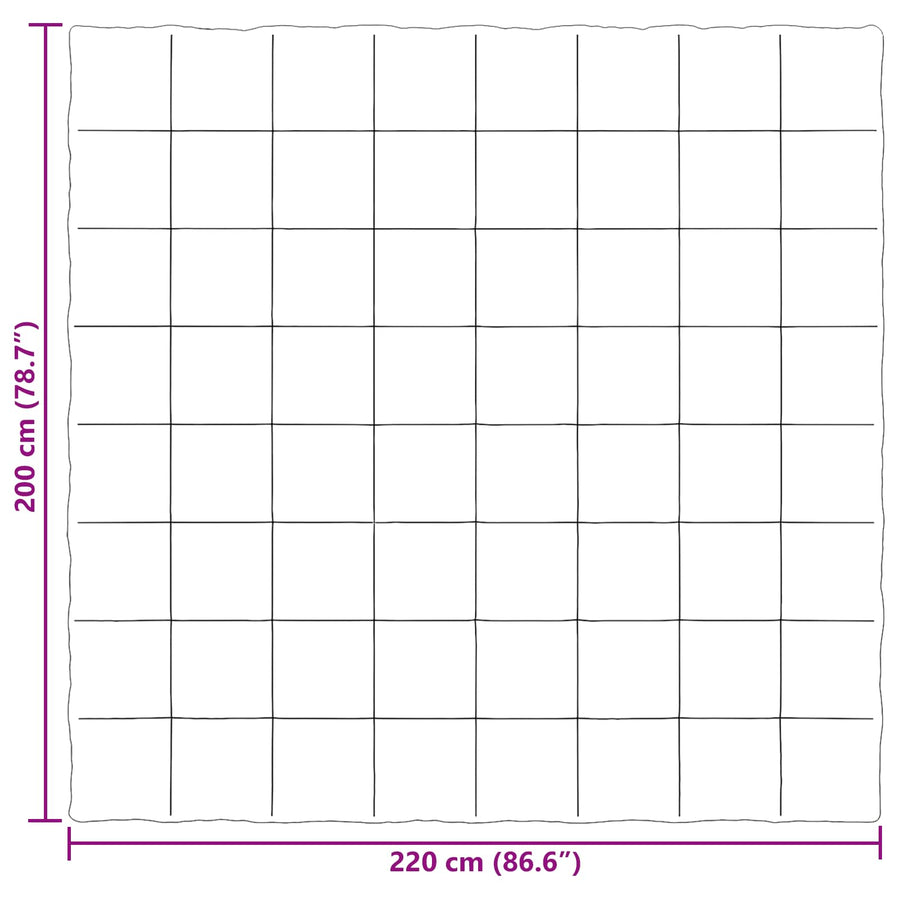 Zomer Dekbed Gekwilt Zwart 200 x 220 cm Microfiber