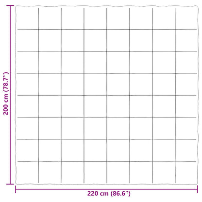 Zomer Dekbed Gekwilt Groen 200 x 220 cm Microfiber