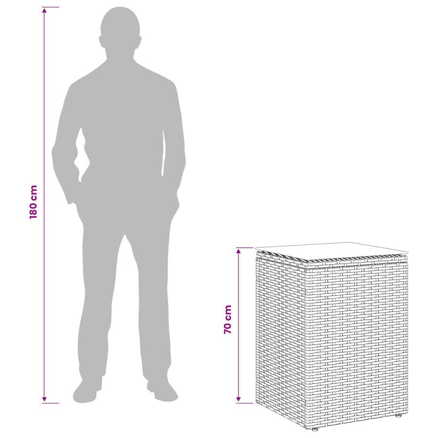 Bijzettafel Zwart 35 x 35 x 70 cm poly rattan