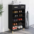 Schoenenkast 60x35x105 cm zwart eiken