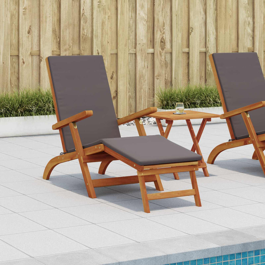 Ligstoelkentingen en opvouwbare zonnebader 2 pcs Donkergrijs