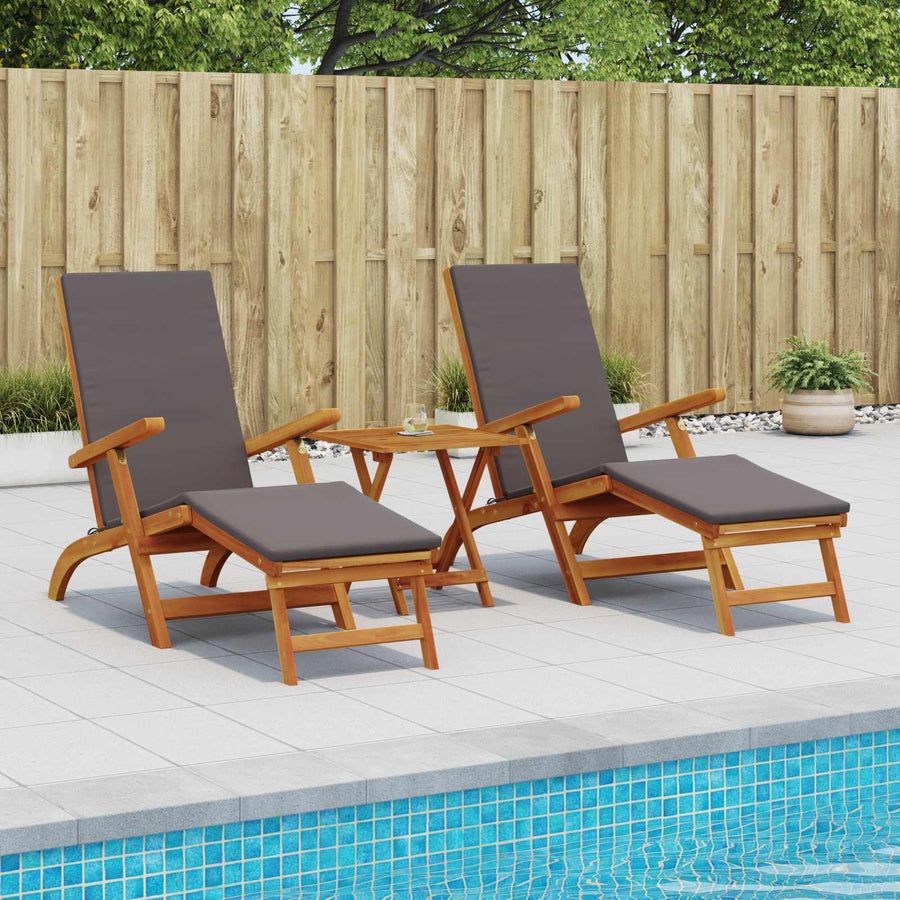 Ligstoelkentingen en opvouwbare zonnebader 3 pcs Donkergrijs