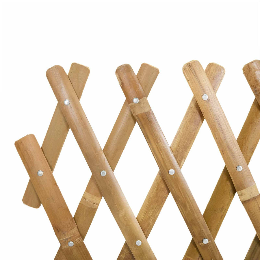Uitschuifbaar plantenrek 2 pcs Licht Bruin 100 x 105 cm Bamboe