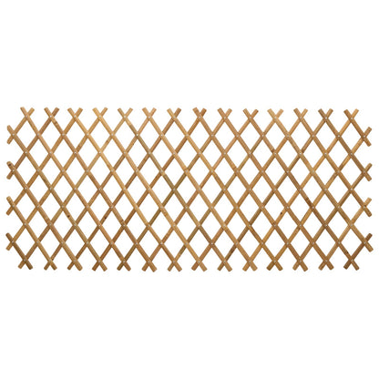 Uitschuifbaar plantenrek 2 pcs Licht Bruin 100 x 105 cm Bamboe