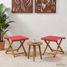 Ligstoelen 2 stuks massief eucalyptushout rood