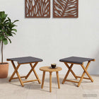 Ligstoel 2 stuks massief eucalyptushout