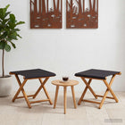 Ligstoel 2 stuks massief eucalyptushout zwart