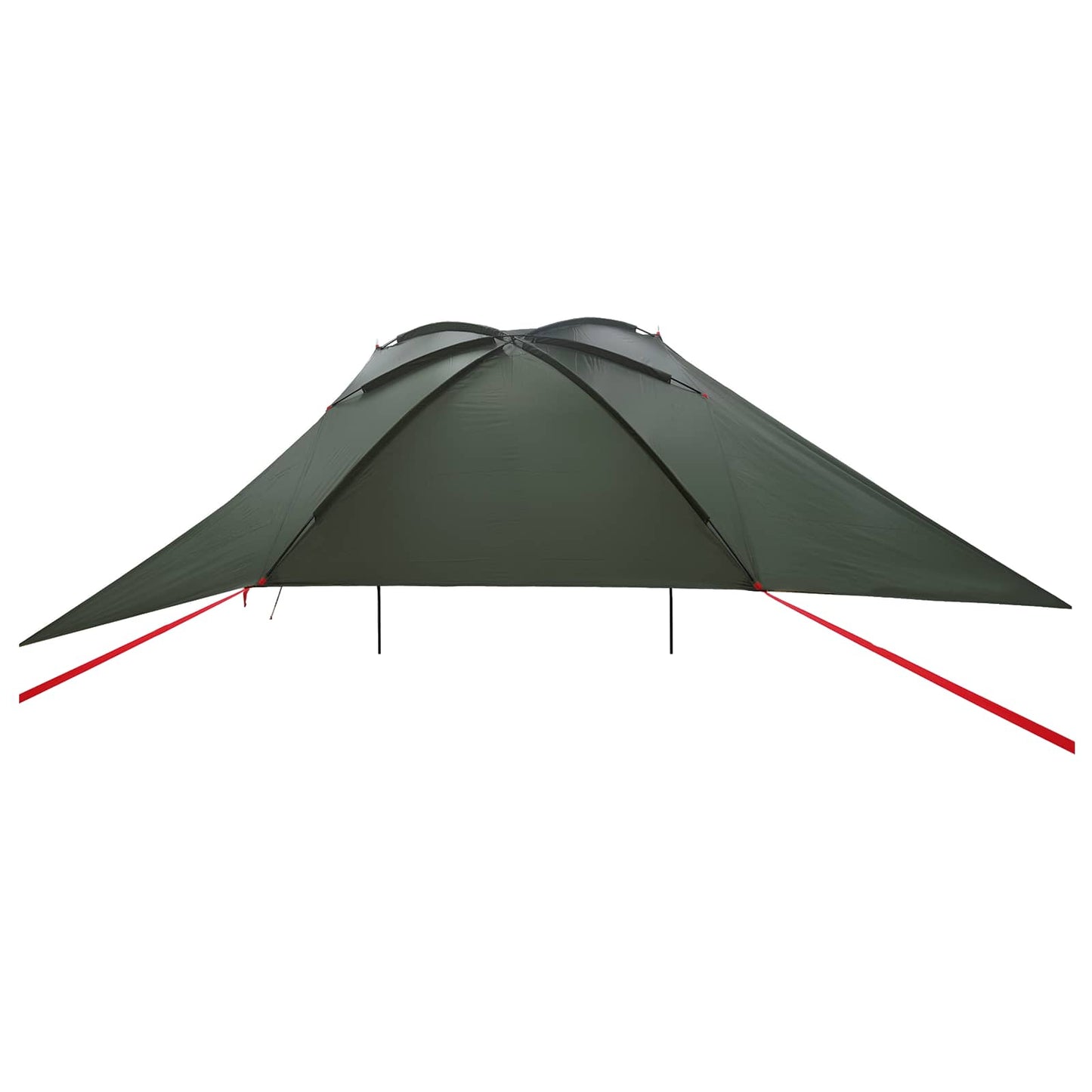 Autotent Legergroen 308 x 215 x 220 cm Polyester en staal