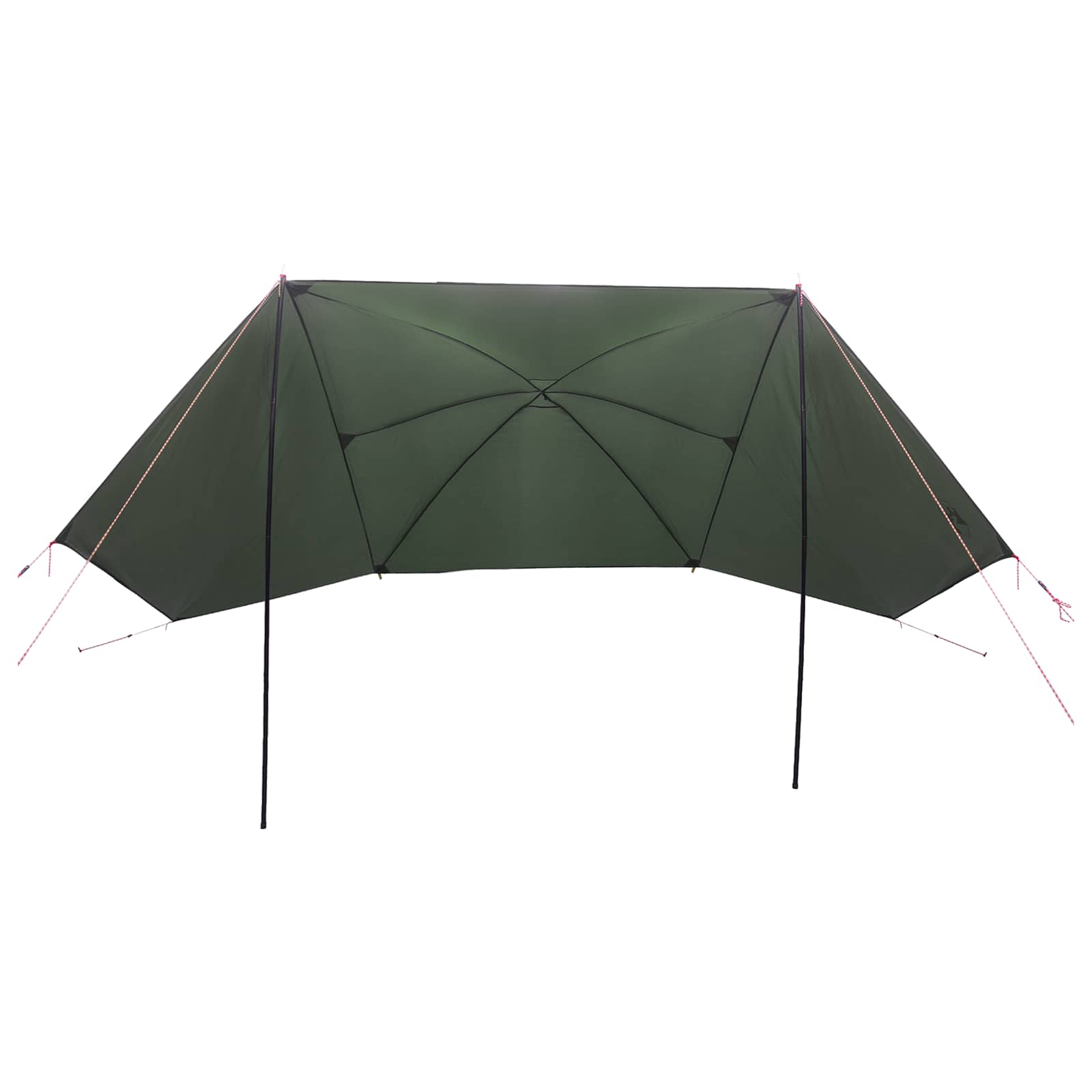 Autotent Legergroen 308 x 215 x 220 cm Polyester en staal