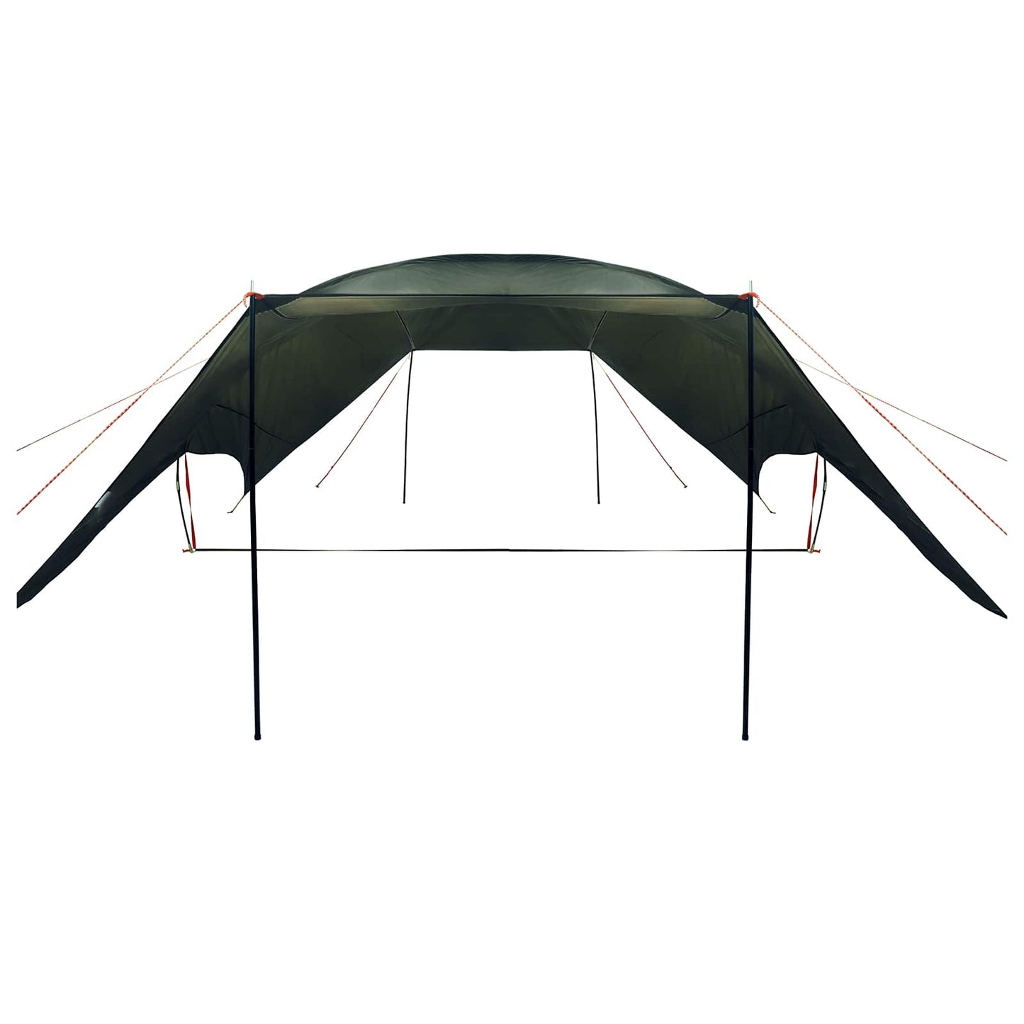 Camping Tarp Waterbestendig Legergroen 695 x 580 x 200 cm