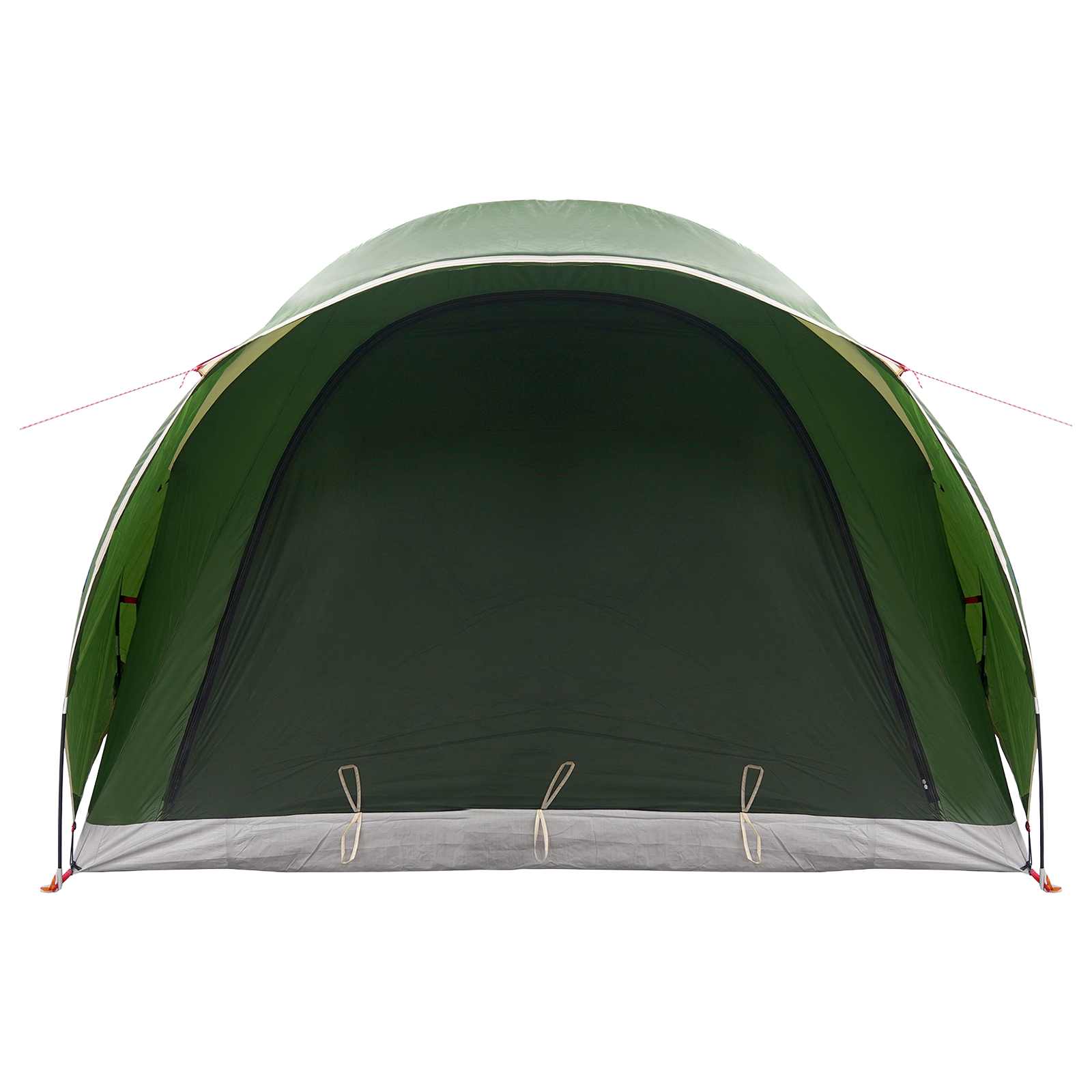 Tunneltent met dak Groen 370 x 275 x 210 cm Polyester en staal