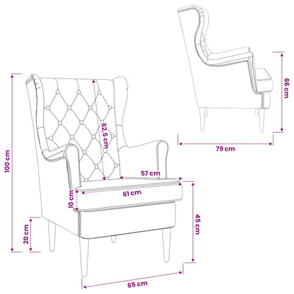 Fauteuil Lichtgrijs Fluweel