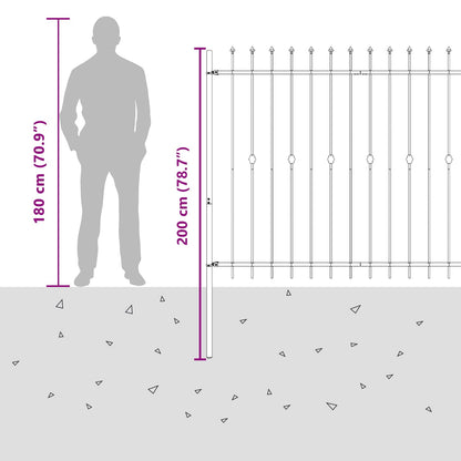 Spike Fence Zwart 200 x 200 cm Gepoedercoat staal