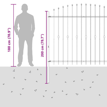 Spike Fence Zwart 200 x 200 cm Gepoedercoat staal