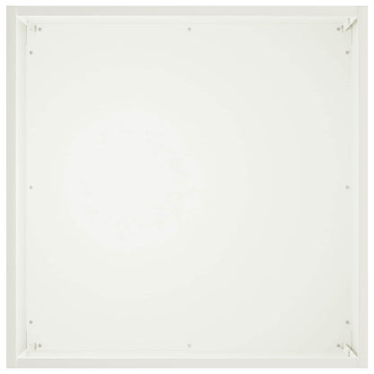 Plantenbak 2 st Wit 25 x 25 x 25 cm Koudgewalst staal