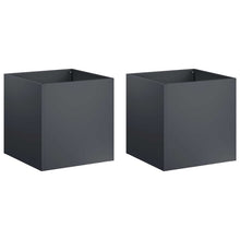 Plantenbak 2 st Antraciet 25 x 25 x 25 cm Koudgewalst staal
