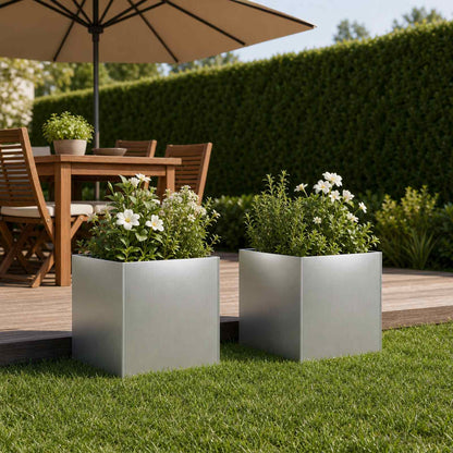 Plantenbak 2 st zilver 25 x 25 x 25 cm Gegalvaniseerd staal