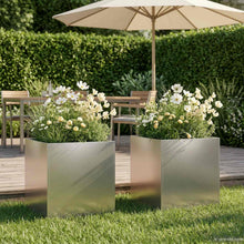 Plantenbak 2 st zilver 45 x 45 x 45 cm Roestvrij staal