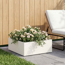 Plantenbak Wit 40 x 40 x 20 cm Koudgewalst staal