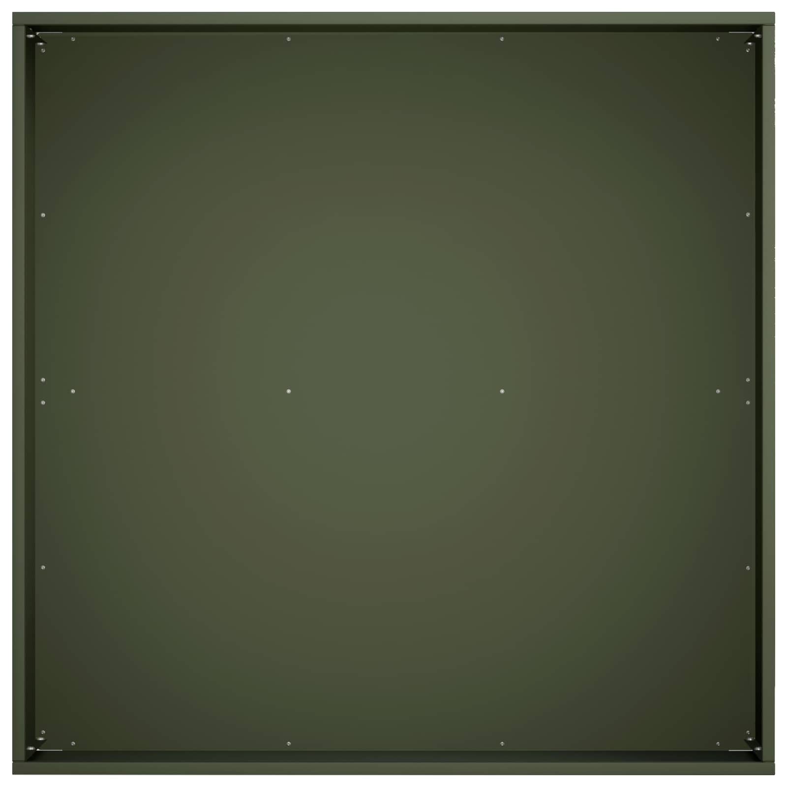 Plantenbak 2 st Olijfgroen 40 x 40 x 20 cm Koudgewalst staal
