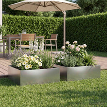 Plantenbak 2 st zilver 40 x 40 x 20 cm Roestvrij staal