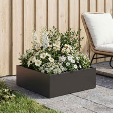 Plantenbak Zwart 60 x 60 x 20 cm Koudgewalst staal