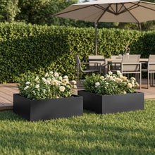 Plantenbak 2 st Zwart 60 x 60 x 20 cm Koudgewalst staal