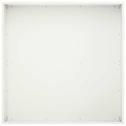 Plantenbak 2 st Wit 60 x 60 x 20 cm Koudgewalst staal