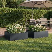 Plantenbak 2 st Antraciet 60 x 60 x 20 cm Koudgewalst staal