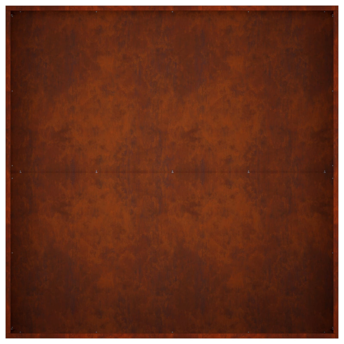 Plantenbak 2 st Roestkleurig 100 x 100 x 20 cm weervast staal