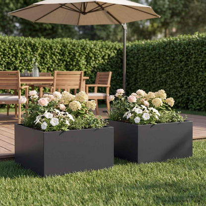 Plantenbak 2 st Zwart 40 x 40 x 30 cm Koudgewalst staal