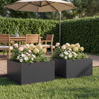 Plantenbak 2 st 60x60x30 cm zwart staal