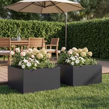 Plantenbak 2 st Zwart 60 x 60 x 30 cm Koudgewalst staal