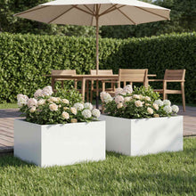 Plantenbak 2 st Wit 60 x 60 x 30 cm Koudgewalst staal