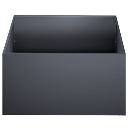 Plantenbak 2 st Antraciet 60 x 60 x 30 cm Koudgewalst staal