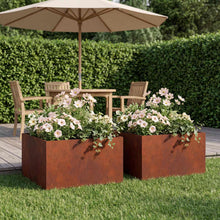 Plantenbak 2 st Roestkleurig 60 x 60 x 30 cm weervast staal
