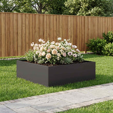Plantenbak Zwart 80 x 80 x 30 cm Koudgewalst staal