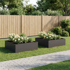 Plantenbak set 2 stuks 100x100x30 cm staal zwart
