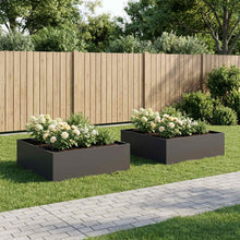 Plantenbak 2 st Zwart 100 x 100 x 30 cm Koudgewalst staal