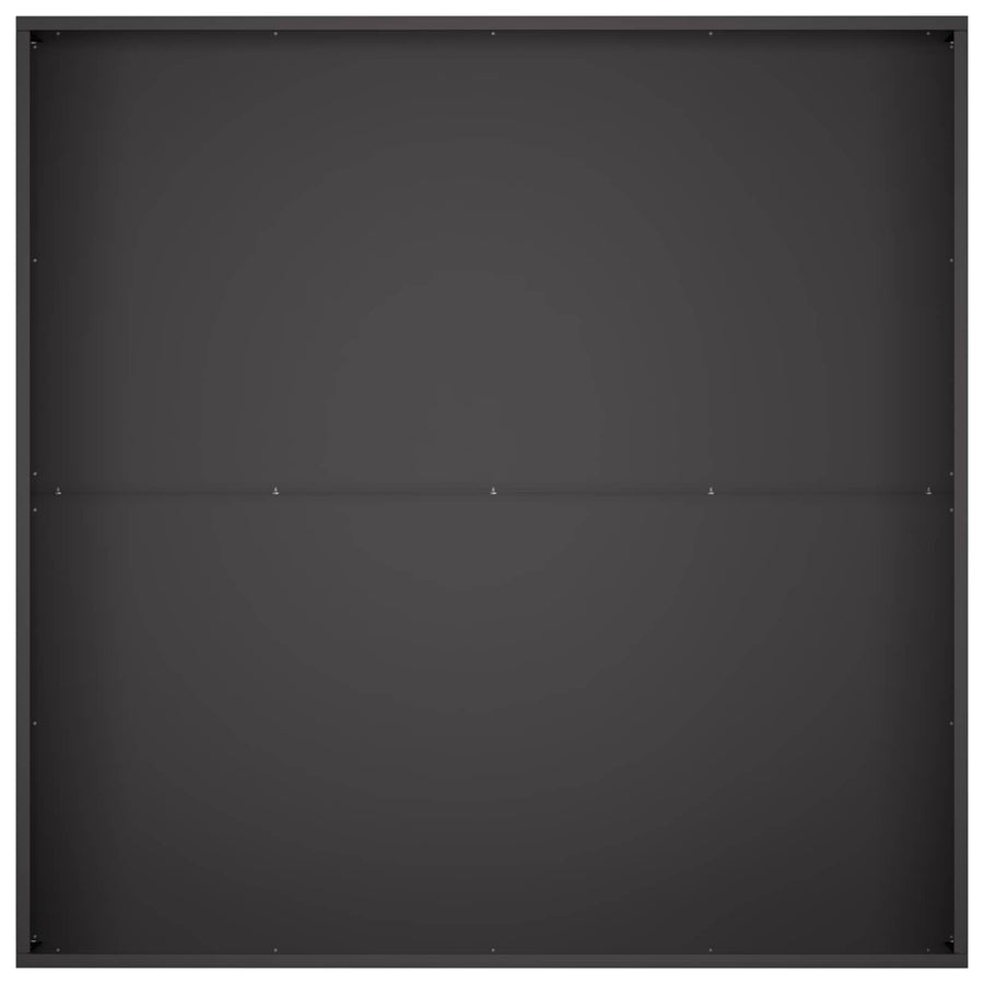 Plantenbak 2 st Zwart 100 x 100 x 30 cm Koudgewalst staal