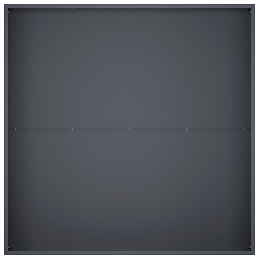Plantenbak 2 st Antraciet 100 x 100 x 30 cm Koudgewalst staal